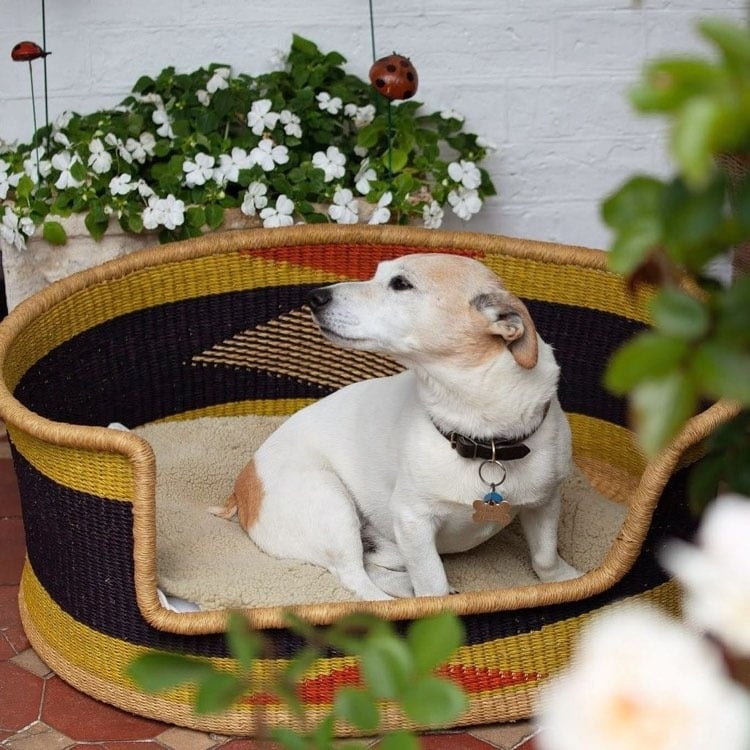 Handmade from Ghana's locally sourced elephant grass, these pet baskets are a stylish addition to any pet-friendly home.