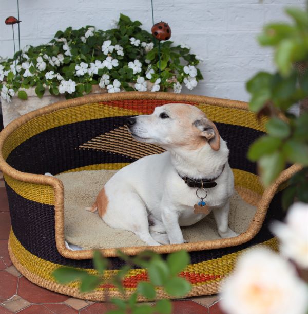 A heartwarming and sustainable gift, woven pet basket