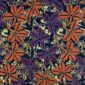 Wax-prem-077-anise (1)