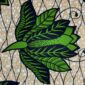 Wax-prem-078-newgrowth (2)