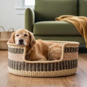 Golden retriever resting in a charcoal and pink striped Bolga dog bed beside a green sofa