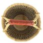 Front view of the large round Bolga basket, kings