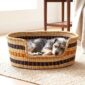 Small Frafra woven pet basket in elephant grass from Bolgatanga Ghana