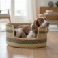 Spaniel resting in a small woven pet basket with green and blue-green bands on a timber floor
