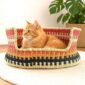 Small coral and black Bolga pet basket with a ginger cat sitting inside, in a living room