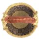 Top-down view inside the small round Bolga basket with a navy and natural staggered check, showing the coiled base