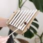 mini xylophone